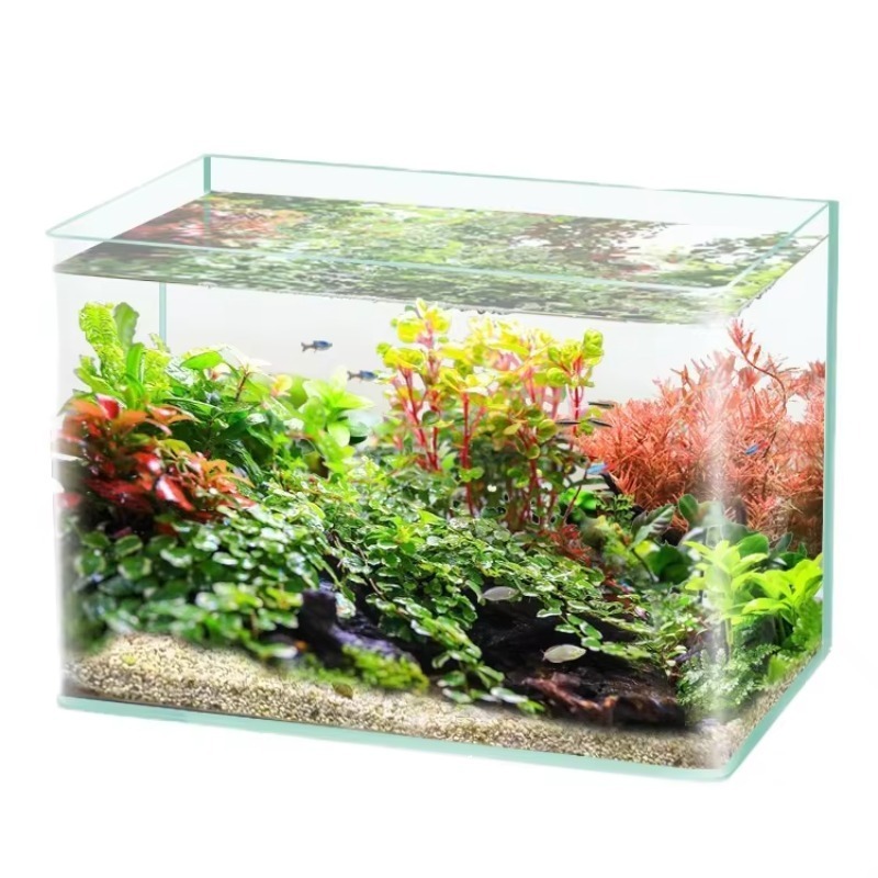 Box Fish In Aquarium - Коробка Упаковка Настольный аквариум Ультрабелый прозрачный