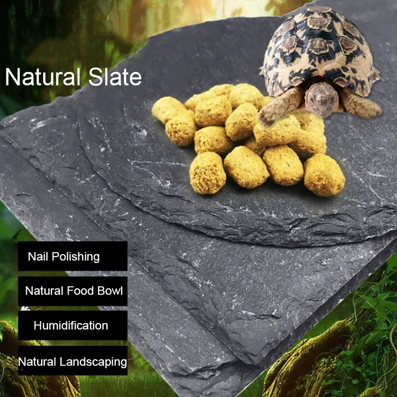 Aquarium Fish Food - Натуральный сланцевый аквариум для домашних животных,