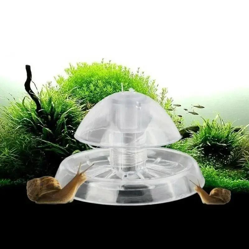 Box Fish In Aquarium - Новая прозрачная пластиковая ловушка для улиток