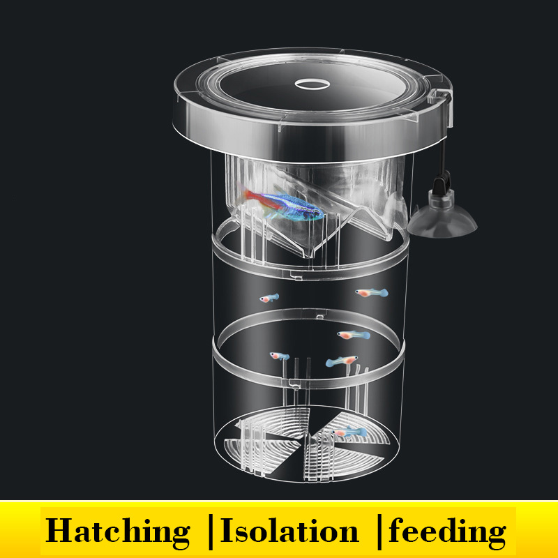 Box Fish In Aquarium - Плавающая изоляционная коробка для разведения рыбы