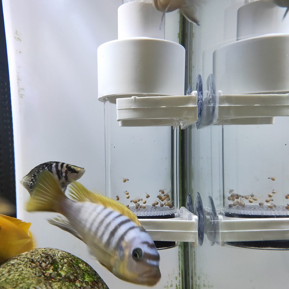 Aquarium Fish Eggs - Инкубатор-тумблер для аквариумных рыбок 40 мм: