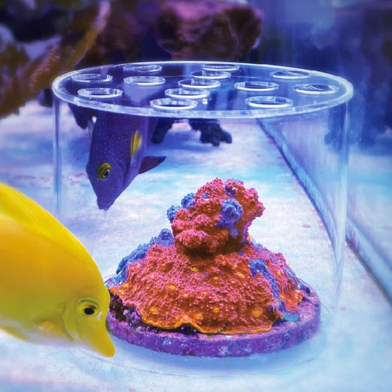 Aquarium Fish Food - Вафтокеанский аквариум, акриловая кормушка для кораллов,