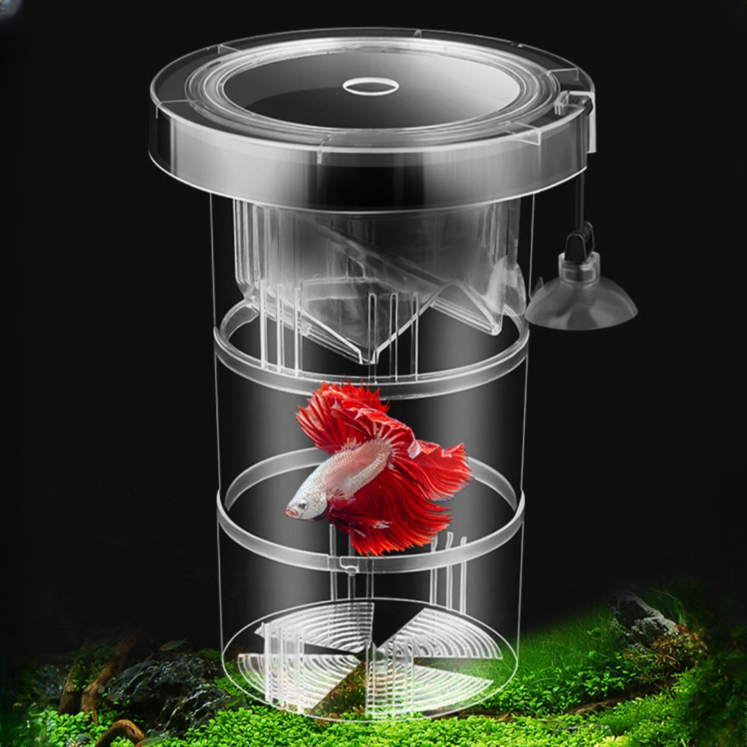 Box Fish In Aquarium - Акриловая плавающая изоляционная коробка для разведения
