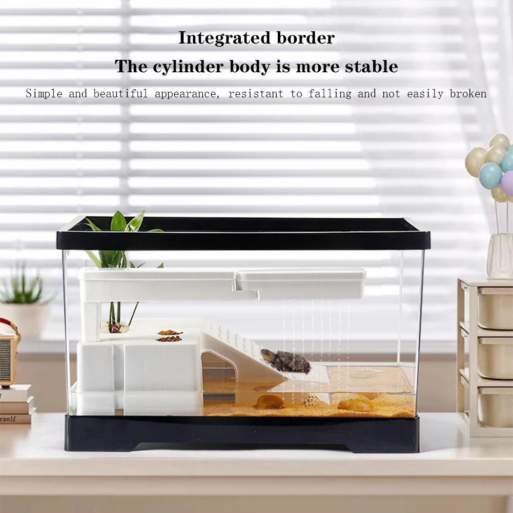 Box Fish In Aquarium - Большой прозрачный аквариум для черепахи, аквариум
