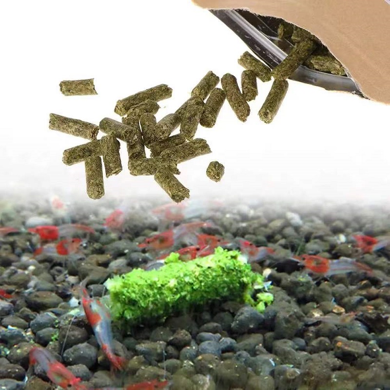 Корм для креветок с шпинатом,  – обзор и цена Aquarium Fish Eggs