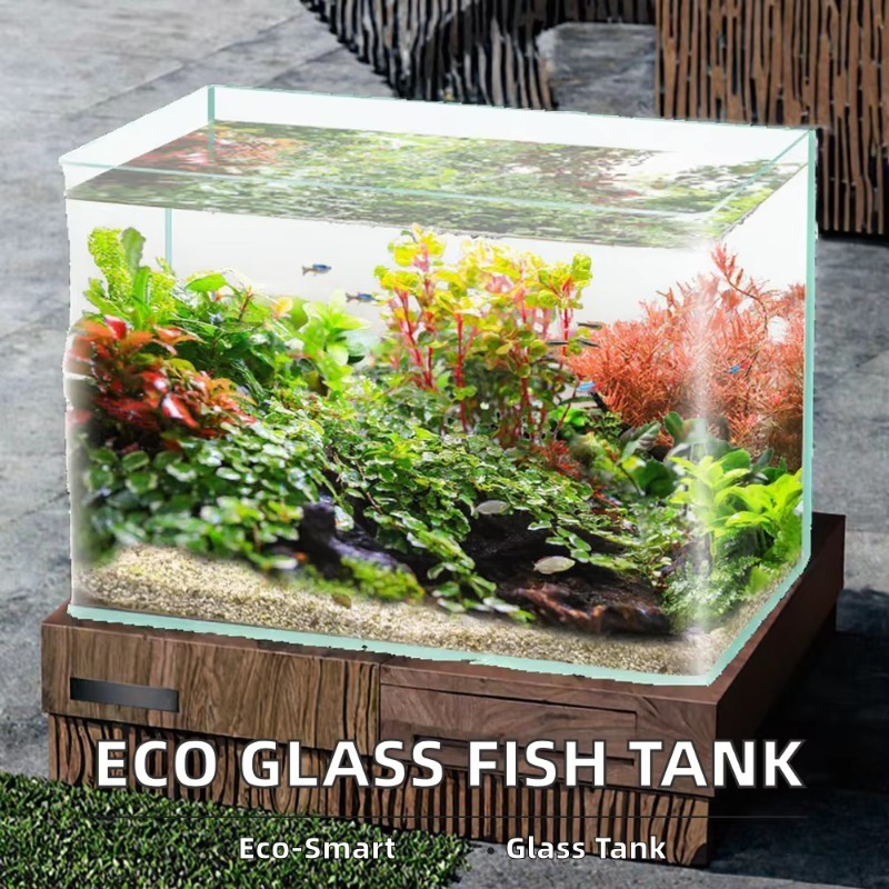 Коробка Упаковка Настольный ак – обзор и цена Box Fish In Aquarium