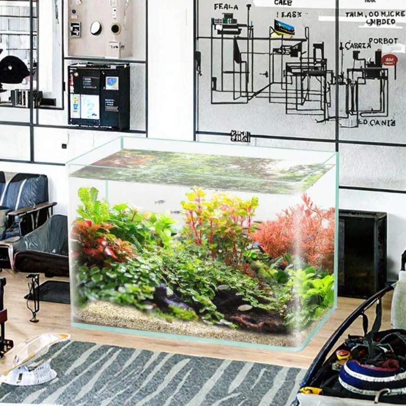 Коробка Упаковка Настольный ак – обзор и цена Box Fish In Aquarium