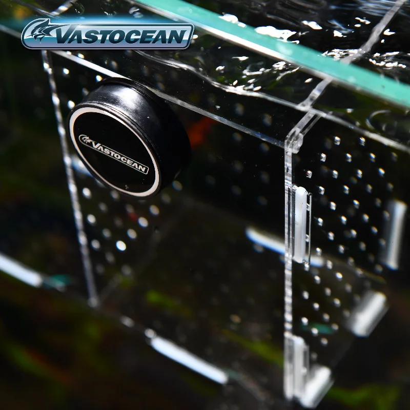 VASTOCEAN аквариум магнитный к – обзор и цена Box Fish In Aquarium