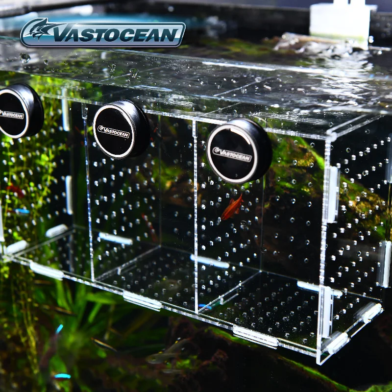 VASTOCEAN аквариум магнитный к – обзор и цена Box Fish In Aquarium