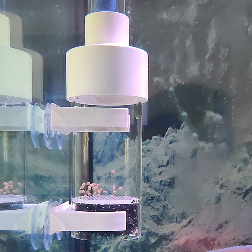 40 мм стакан-инкубатор, инкуба – обзор и цена Aquarium Fish Eggs