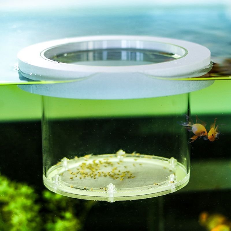 Подвесной изоляционный ящик дл – обзор и цена Box Fish In Aquarium