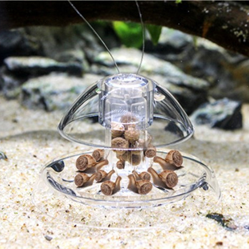 1 шт., очиститель для аквариум – обзор и цена Aquarium Fish Eggs