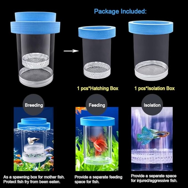 Плавающая изоляционная коробка – обзор и цена Box Fish In Aquarium