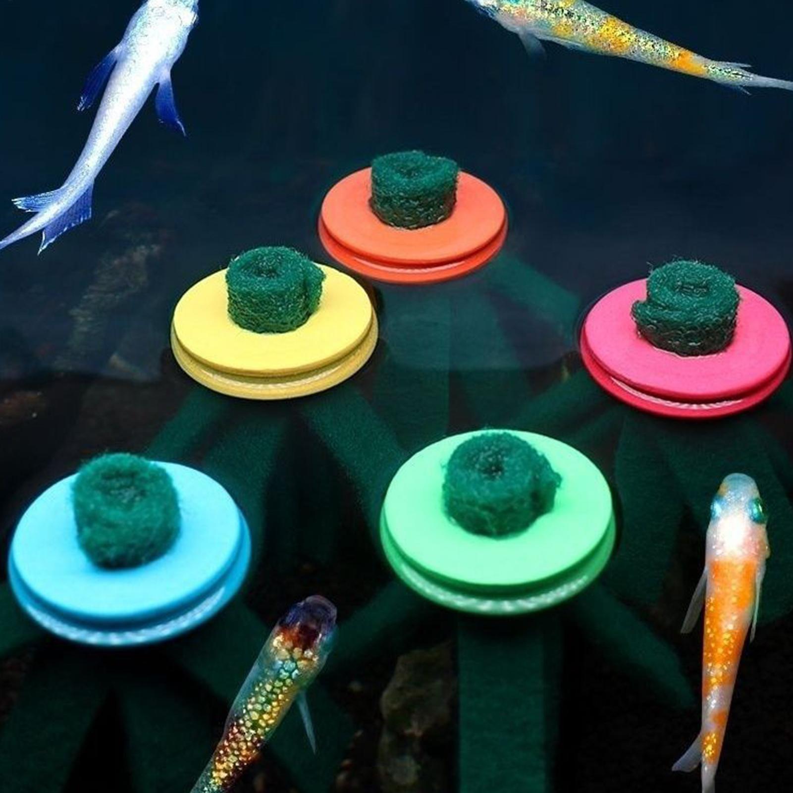10 шт. Декоративные плавающие  – обзор и цена Aquarium Fish Food