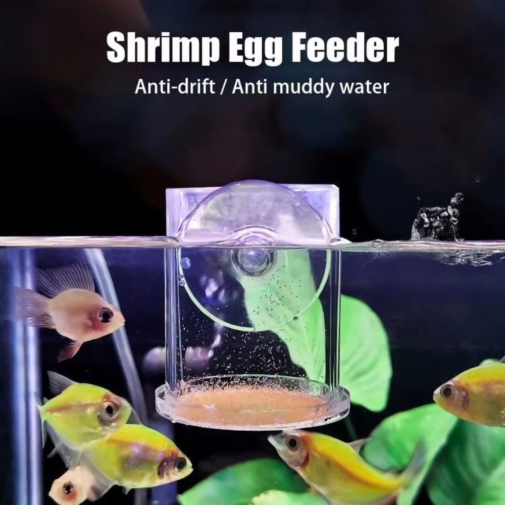Акриловая кормушка для кревето – обзор и цена Aquarium Fish Eggs