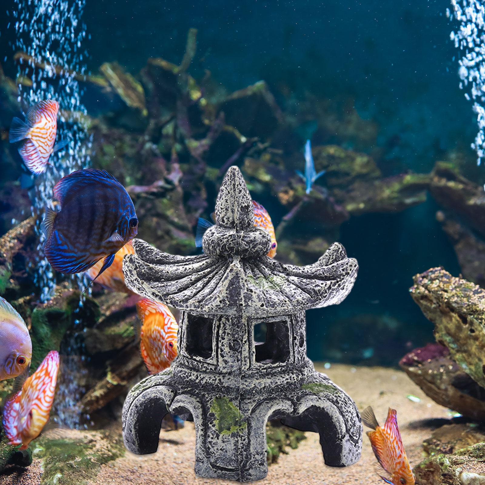 Аквариумное украшение, аквариу – обзор и цена Aquarium Fish For Sale Online