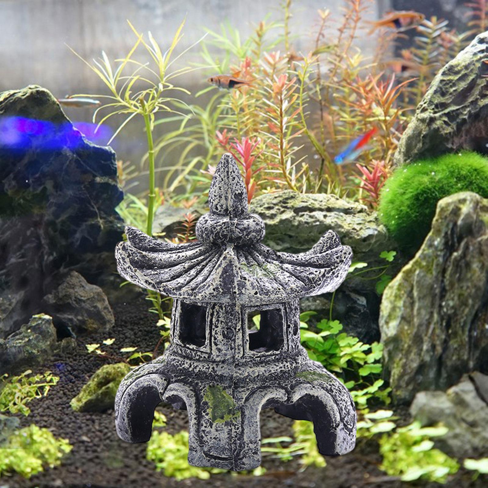 Аквариумное украшение, аквариу – обзор и цена Aquarium Fish For Sale Online
