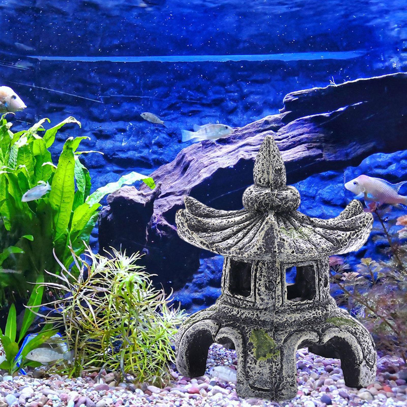 Аквариумное украшение, аквариу – обзор и цена Aquarium Fish For Sale Online