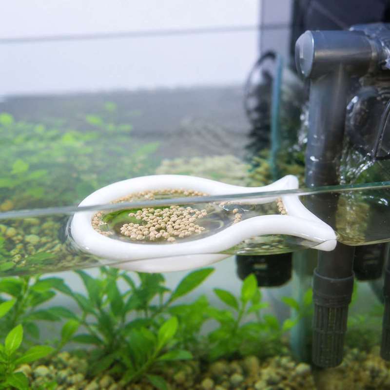Плавающее кольцо для кормления – обзор и цена Aquarium Fish Food