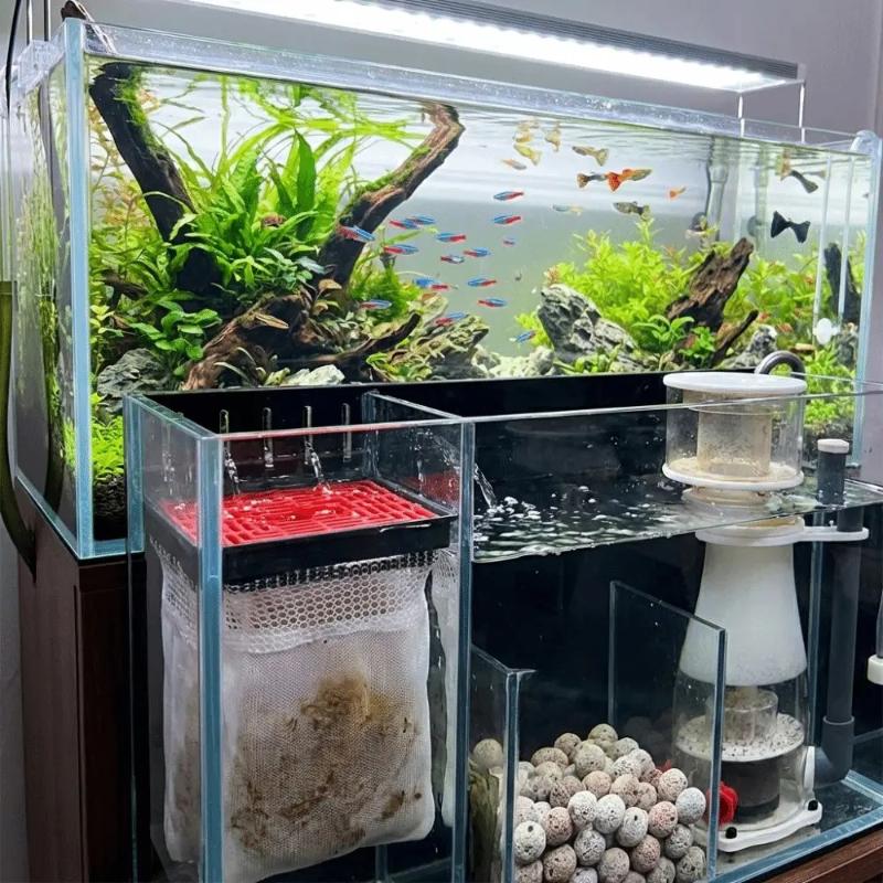 Фильтр-мешок для аквариума, эф – обзор и цена Box Fish In Aquarium