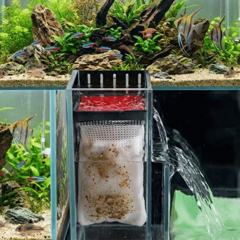 Фильтр-мешок для аквариума, эф – обзор и цена Box Fish In Aquarium