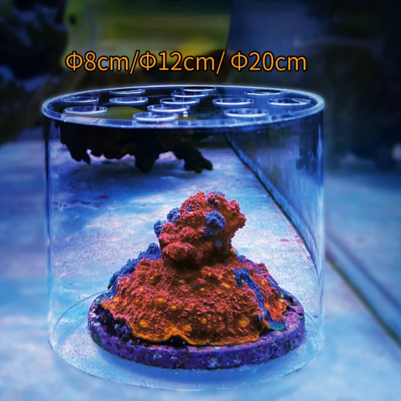 Вафтокеанский аквариум, акрило – обзор и цена Aquarium Fish Food