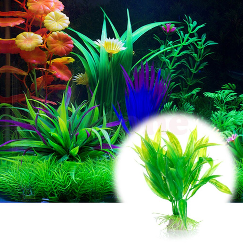 15 см искусственный декор для  – обзор и цена Aquarium Fish For Sale Online