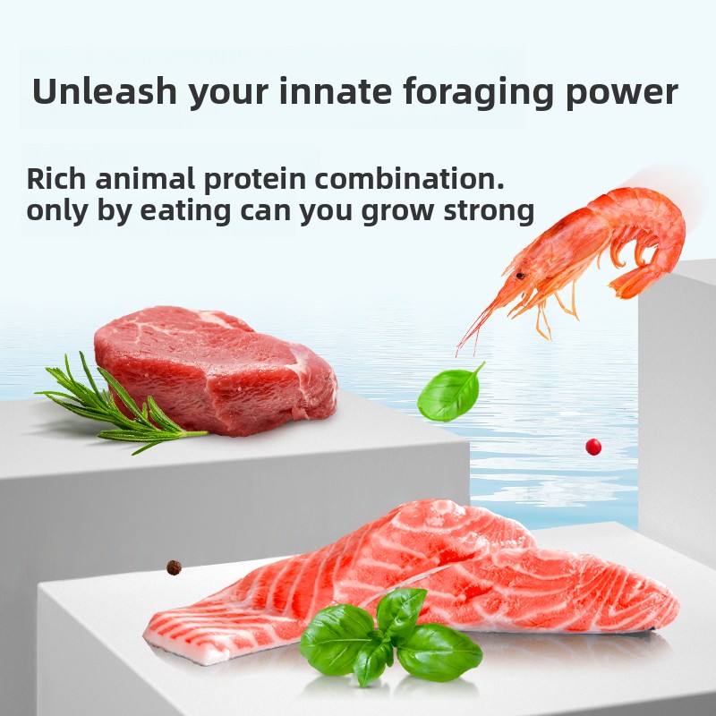 Корм для рыб Discus: специализ – обзор и цена Aquarium Fish Food