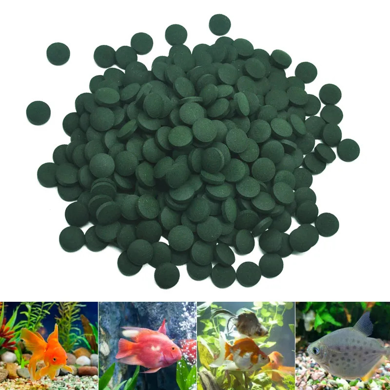 50-300 шт. таблетки спирулины  – обзор и цена Aquarium Fish Eggs