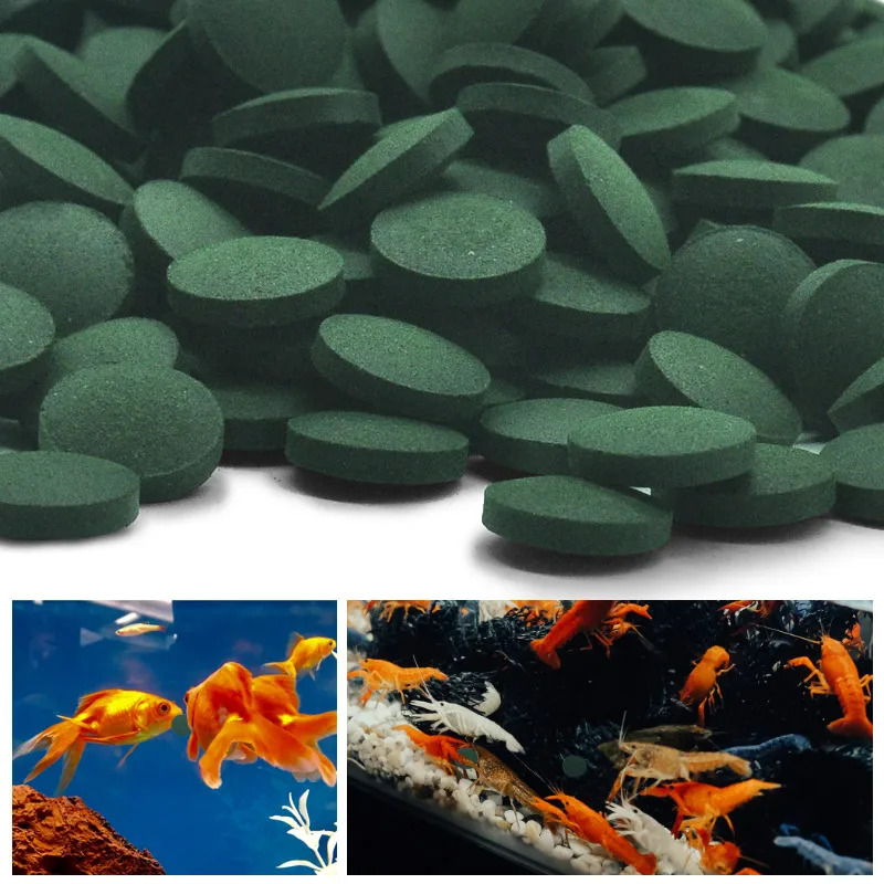 50-300 шт. таблетки спирулины  – обзор и цена Aquarium Fish Eggs