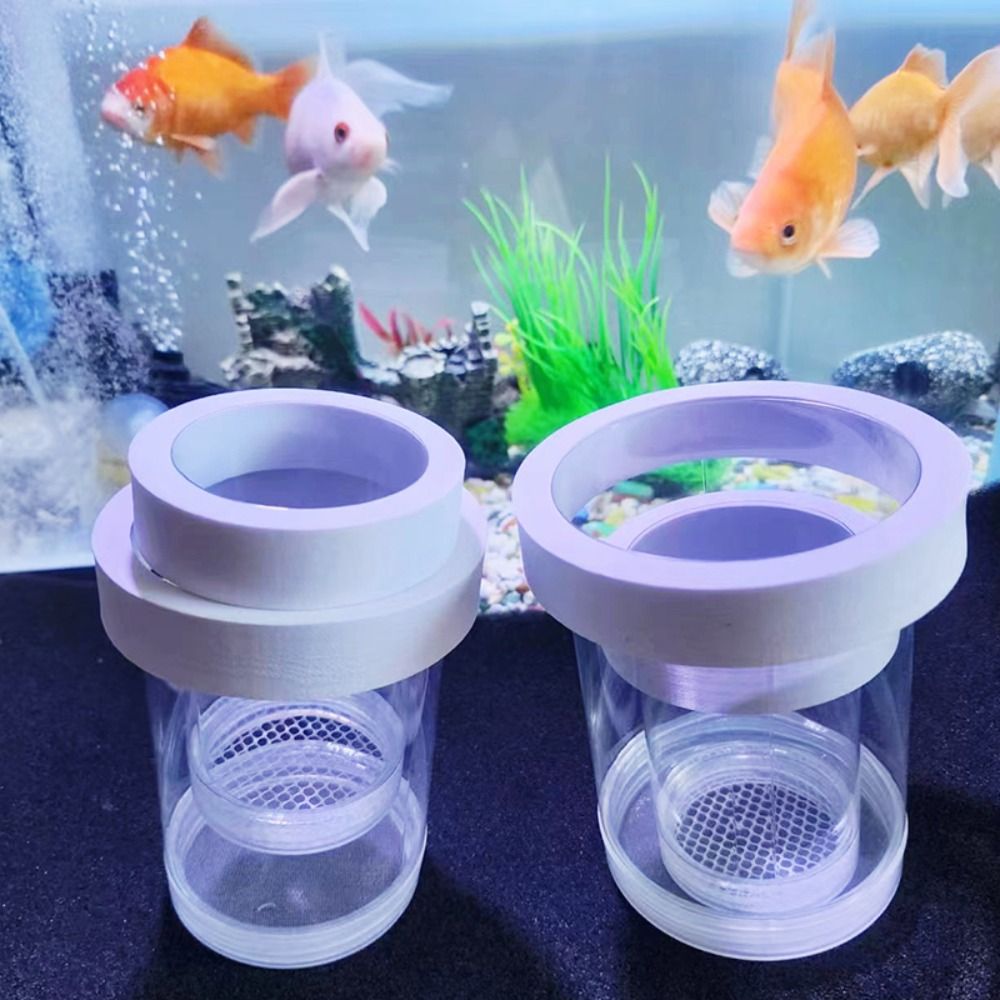 Пластиковая плавающая изоляцио – обзор и цена Box Fish In Aquarium