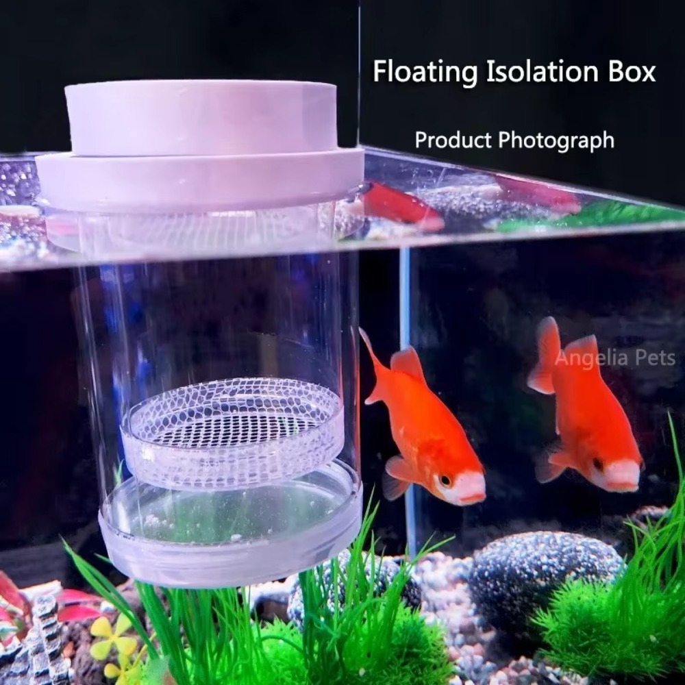 Пластиковая плавающая изоляцио – обзор и цена Box Fish In Aquarium
