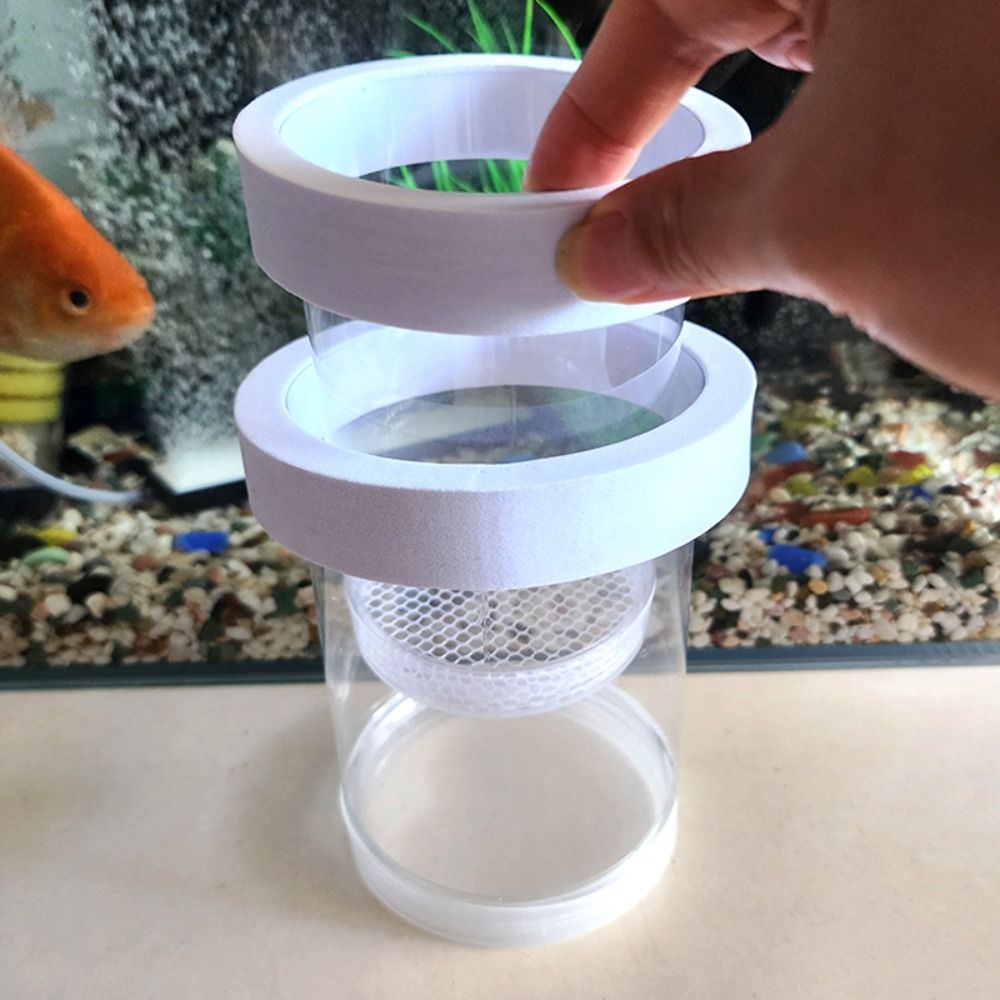 Пластиковая плавающая изоляцио – обзор и цена Box Fish In Aquarium