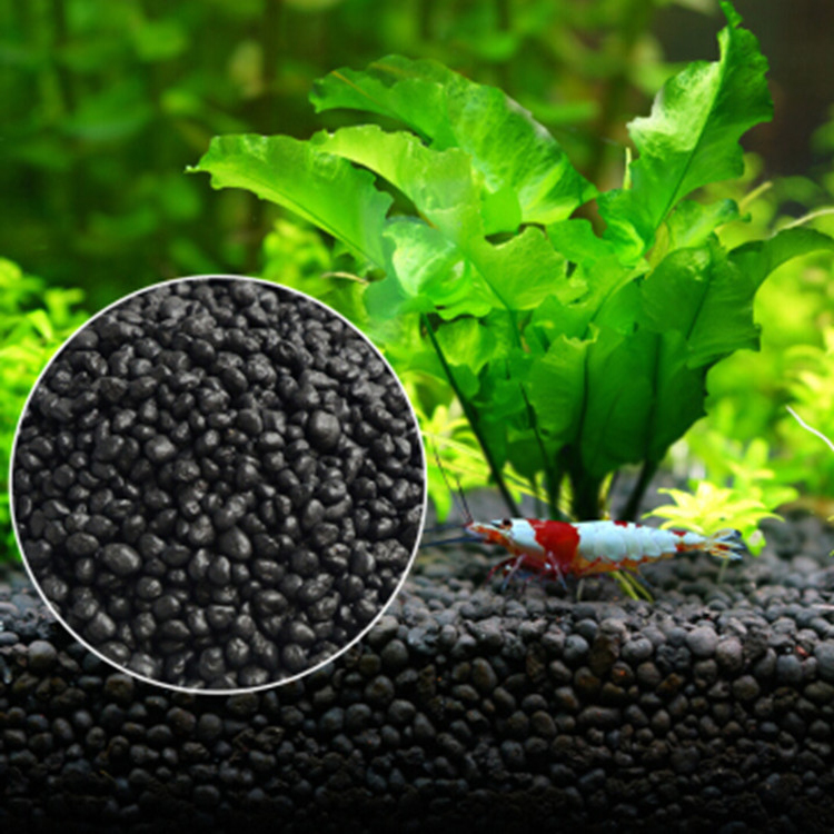Семена аквариумных растений, п – обзор и цена Aquarium Fish Farm