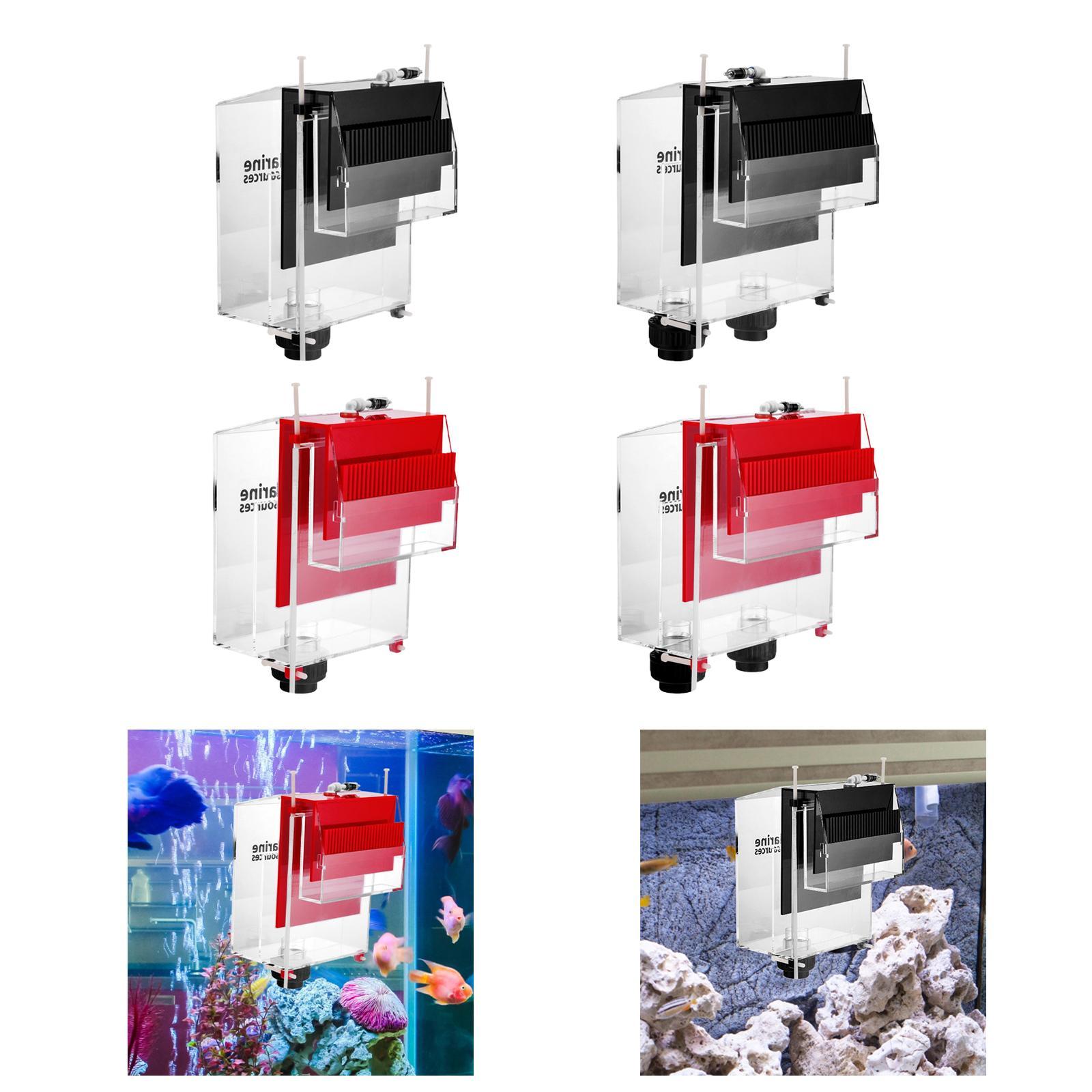 Переливная коробка для аквариу – обзор и цена Box Fish In Aquarium