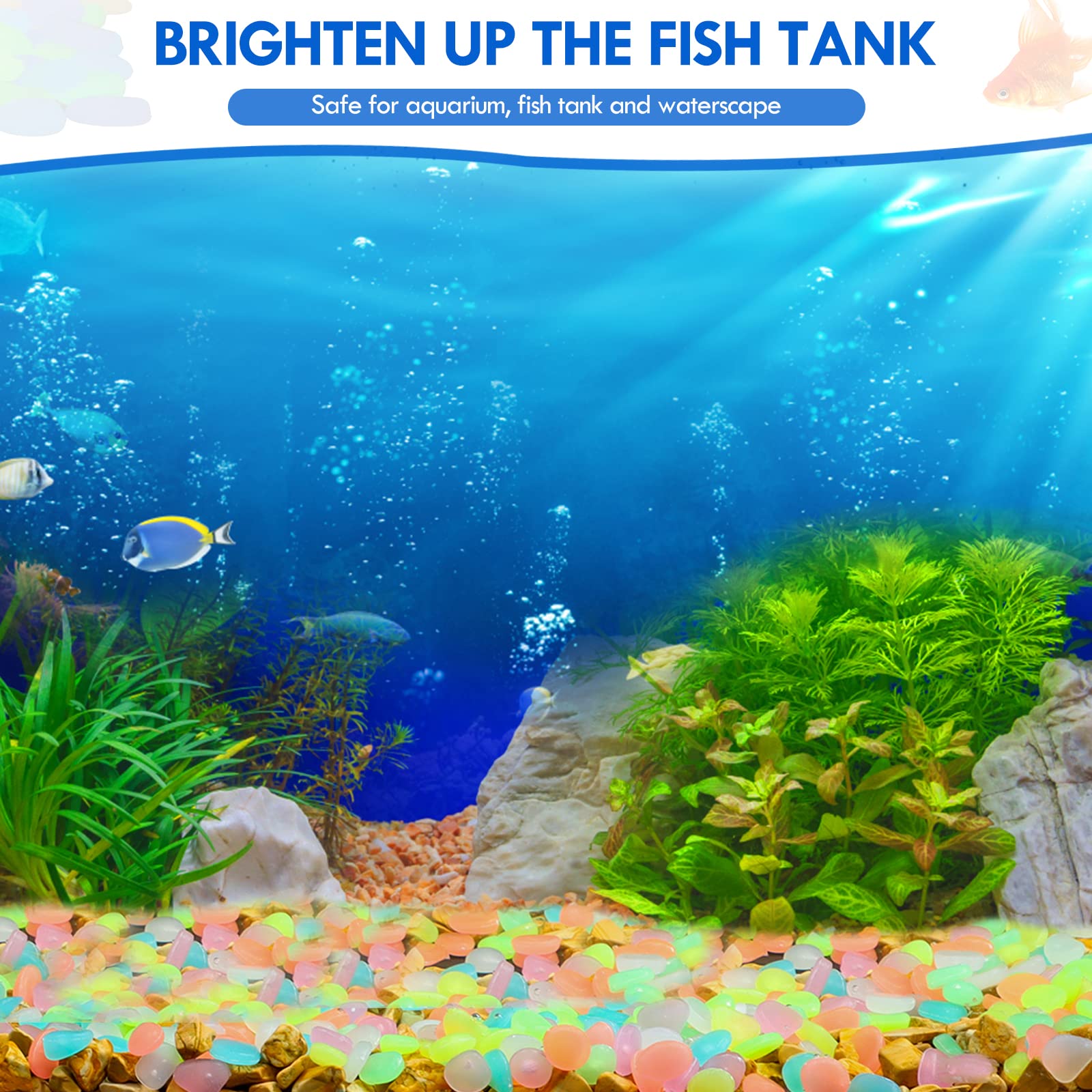 100 шт. светящиеся в темноте с – обзор и цена Aquarium Fish Farm
