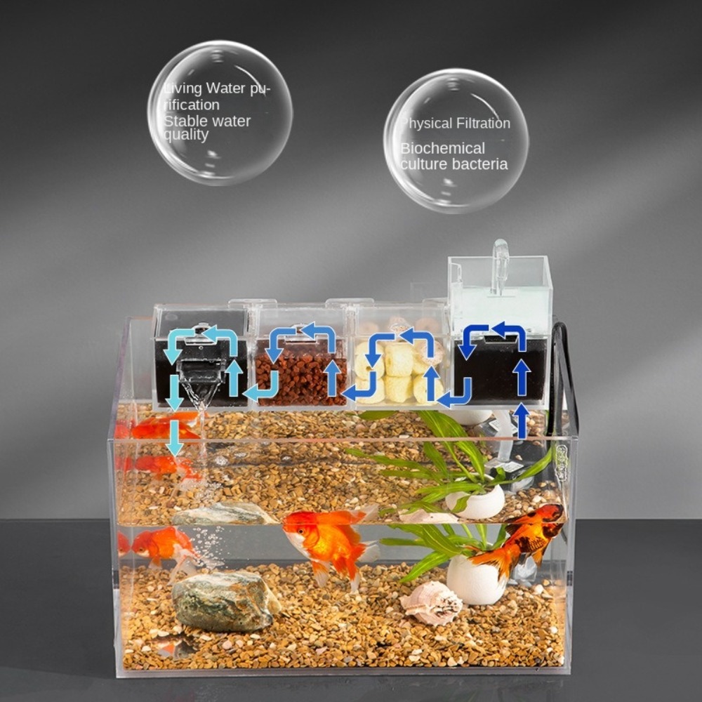 Внешний аквариумный фильтр «тр – обзор и цена Box Fish In Aquarium