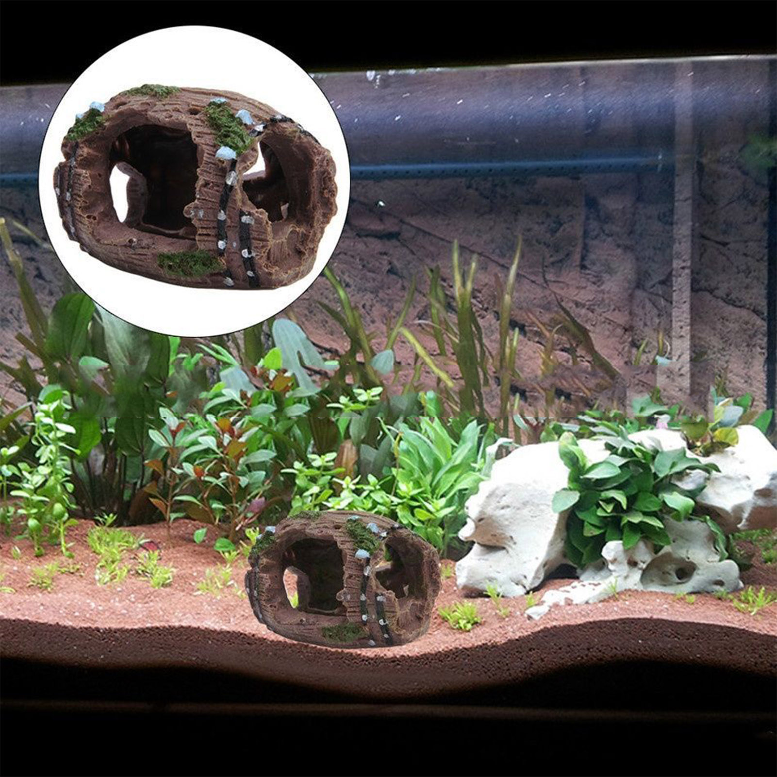 Декоративные элементы из смолы – обзор и цена Aquarium Fish For Sale Online