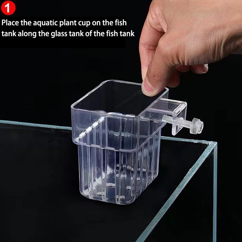 Многофункциональная коробка дл – обзор и цена Box Fish In Aquarium