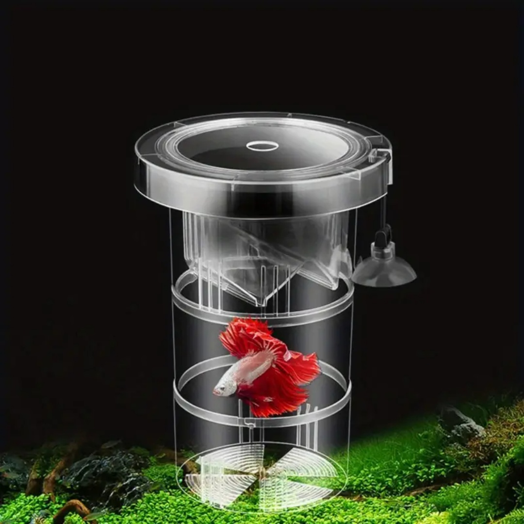 Акриловая плавающая изоляционн – обзор и цена Box Fish In Aquarium