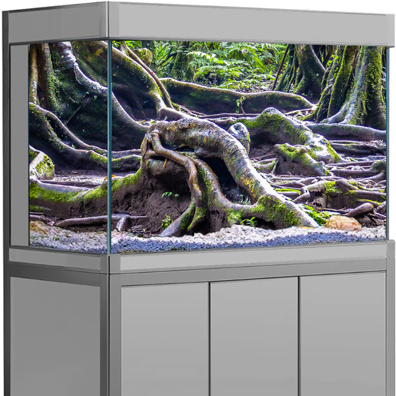 Декор для аквариума: 3D-стикер – обзор и цена Aquarium Fish For Sale Online