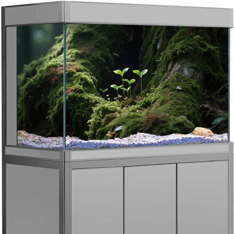 Декор для аквариума: 3D-стикер – обзор и цена Aquarium Fish For Sale Online