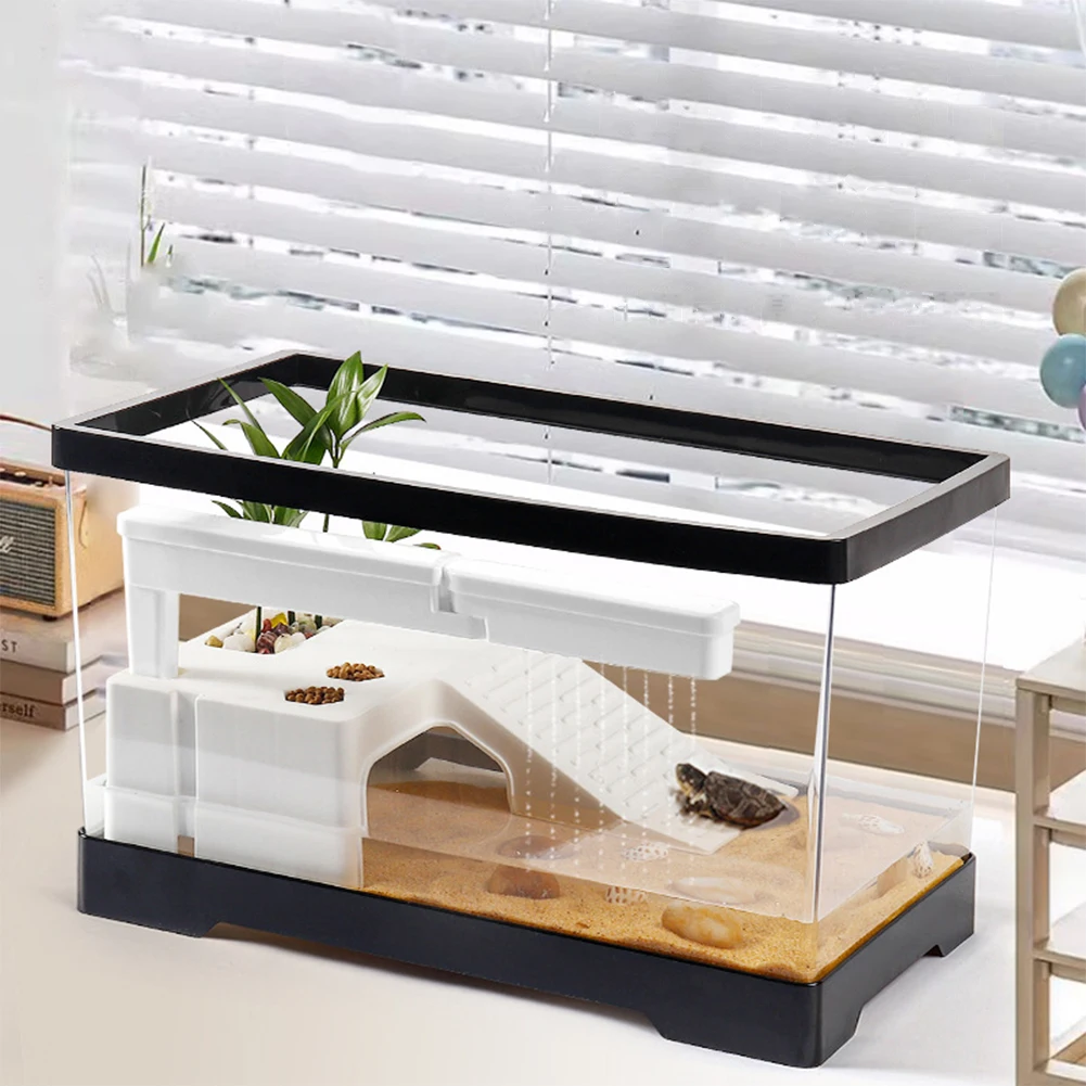 Большой прозрачный аквариум дл – обзор и цена Box Fish In Aquarium