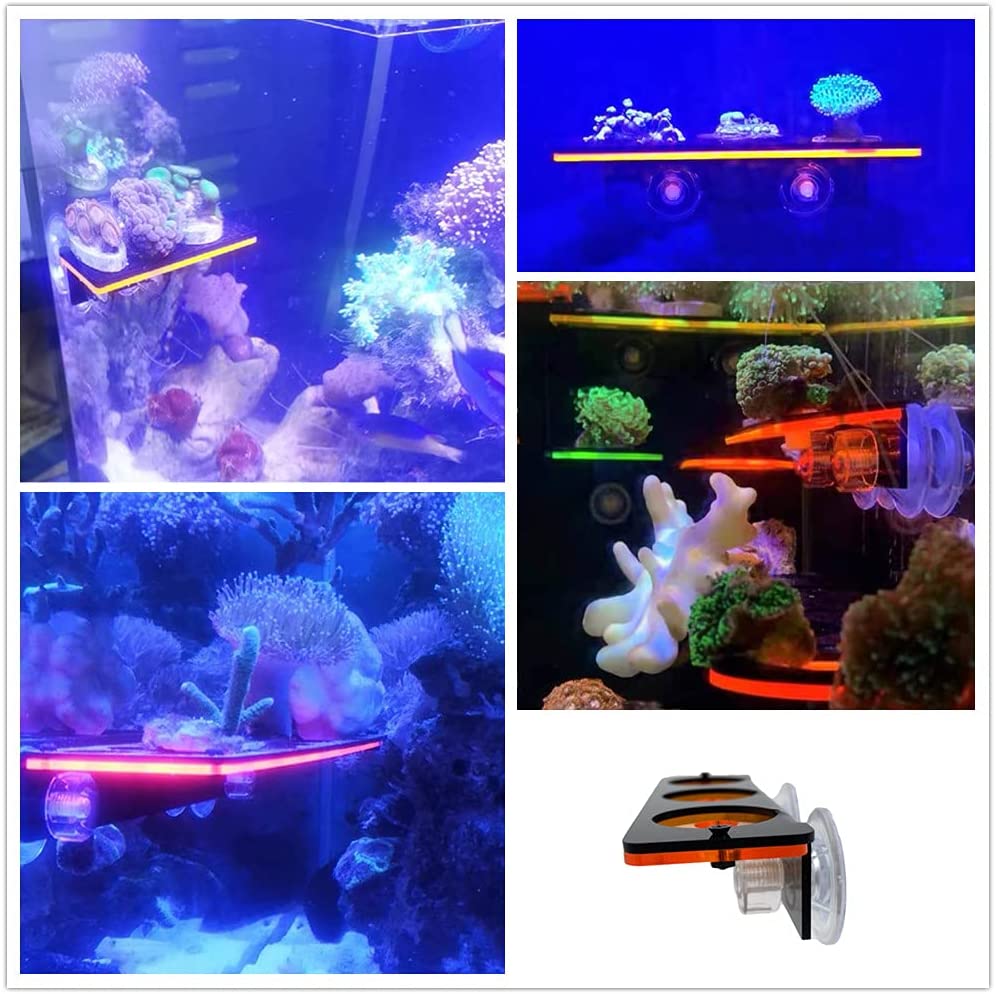 Флуоресцентный кронштейн для з – обзор и цена Aquarium Fish For Sale Online