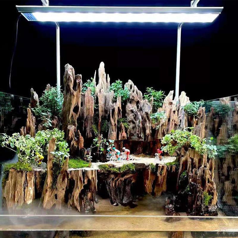 △   Декор для аквариума из кор – обзор и цена Aquarium Fish For Sale Online