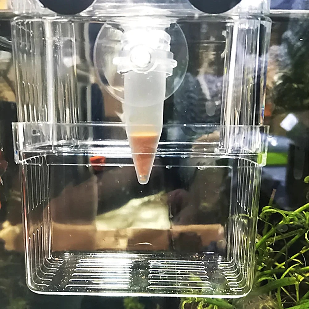 Автоматическая кормушка для ры – обзор и цена Aquarium Fish Eggs