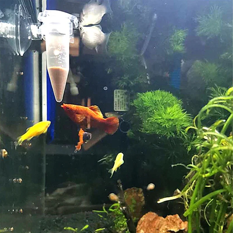 Автоматическая кормушка для ры – обзор и цена Aquarium Fish Eggs